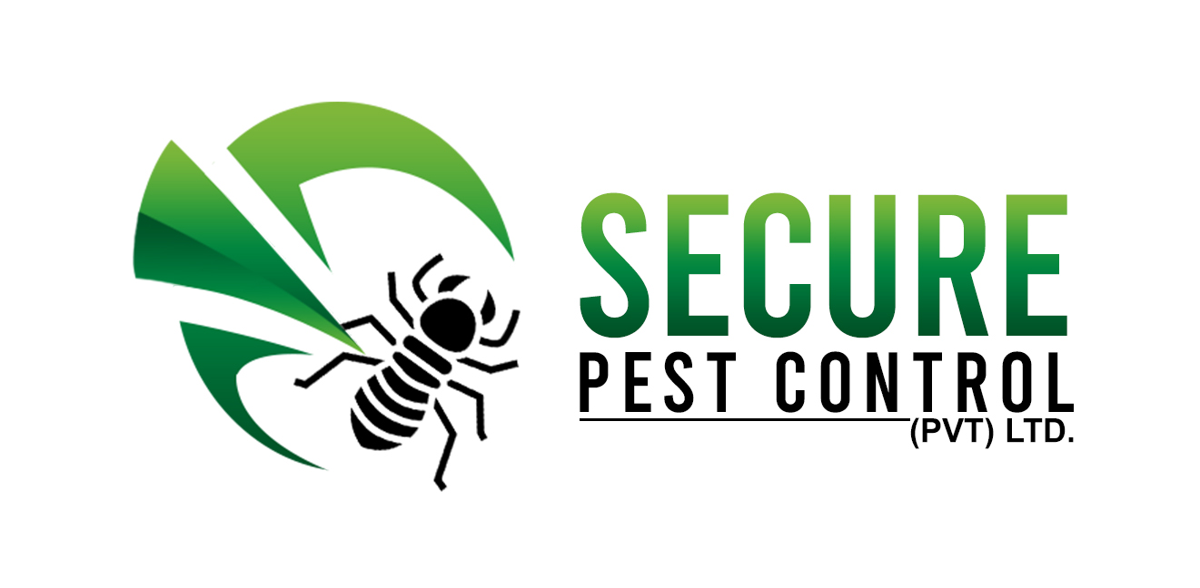 Termites Control Service in Islamabad