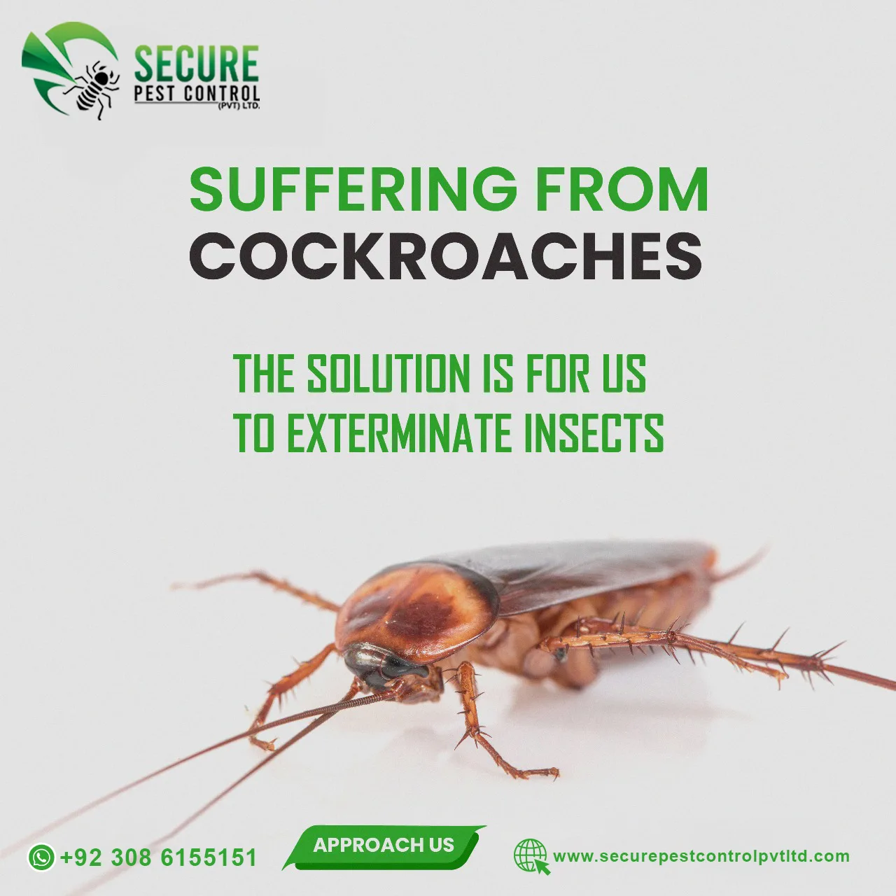 Cockroaches Control Service