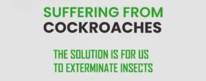 Cockroaches Control Service in Bahria Town Islamabad