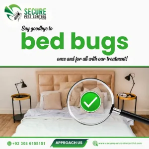 Bedbugs Control Service
