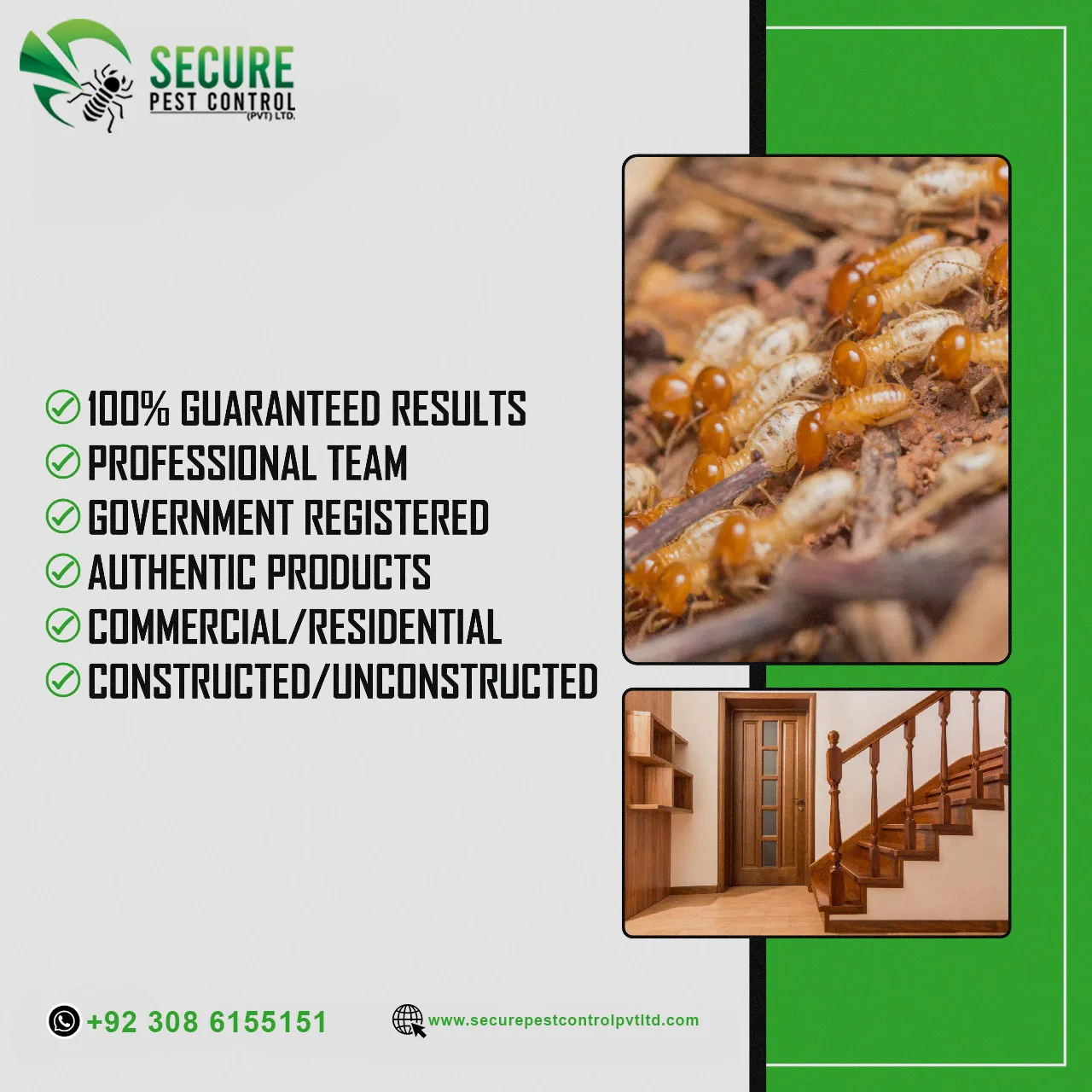 Secure Pest Control Pvt Ltd offers expert Termites Control Service in Doctors town Islamabad to create a pest-free environment in your home or workplace.