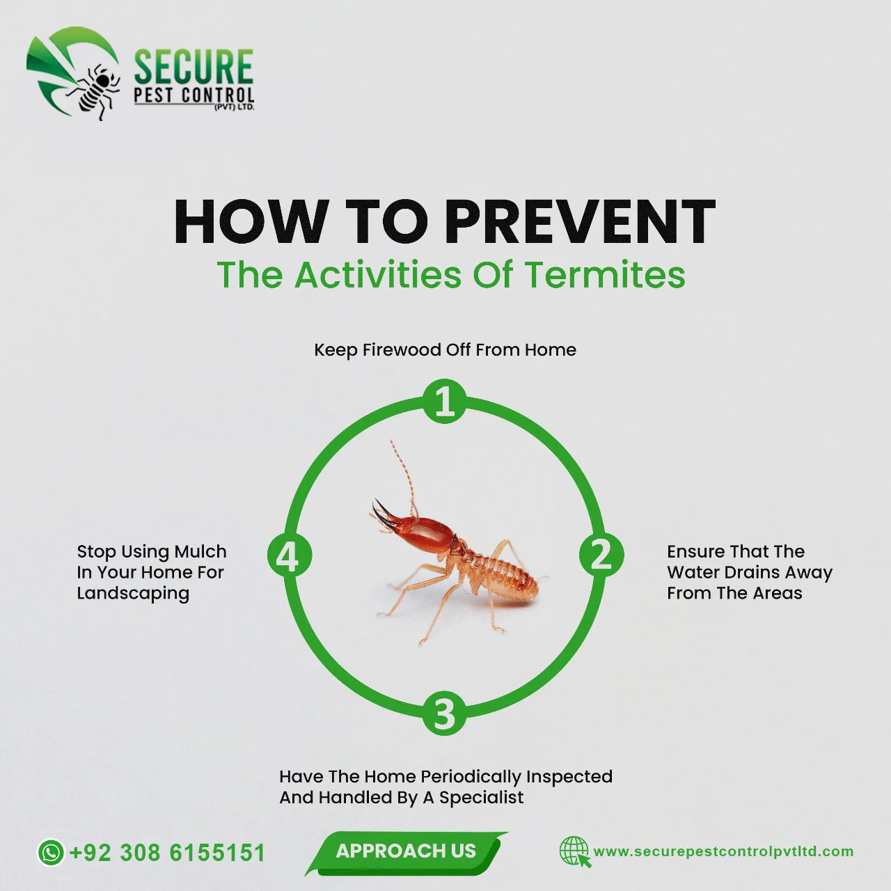 Termites Control Service in DHA Lahore