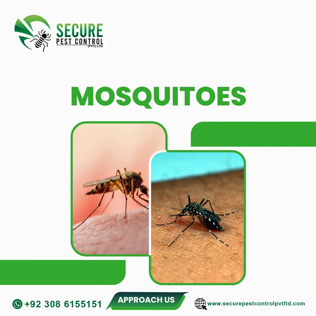 mosquito-control-service-in-islamabad-secure-pest-control