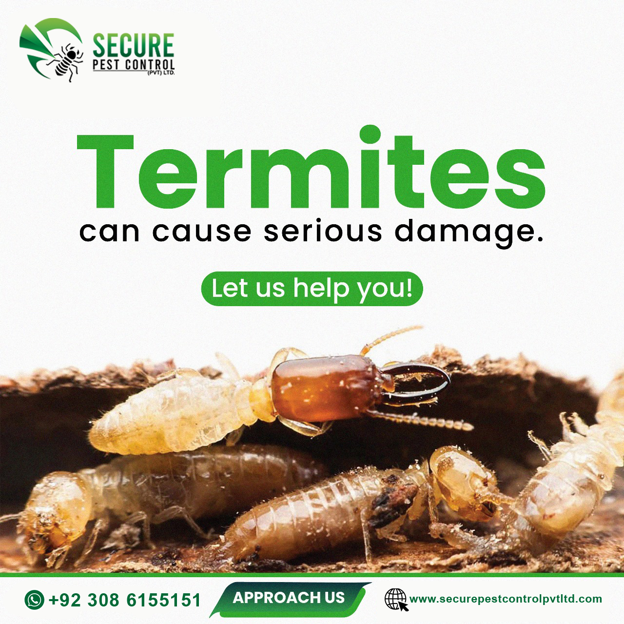 Termites Control Service