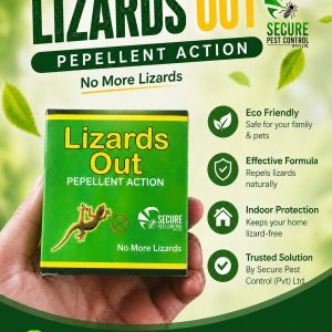 Lizards out