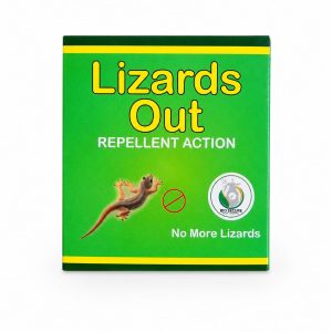 Lizards out